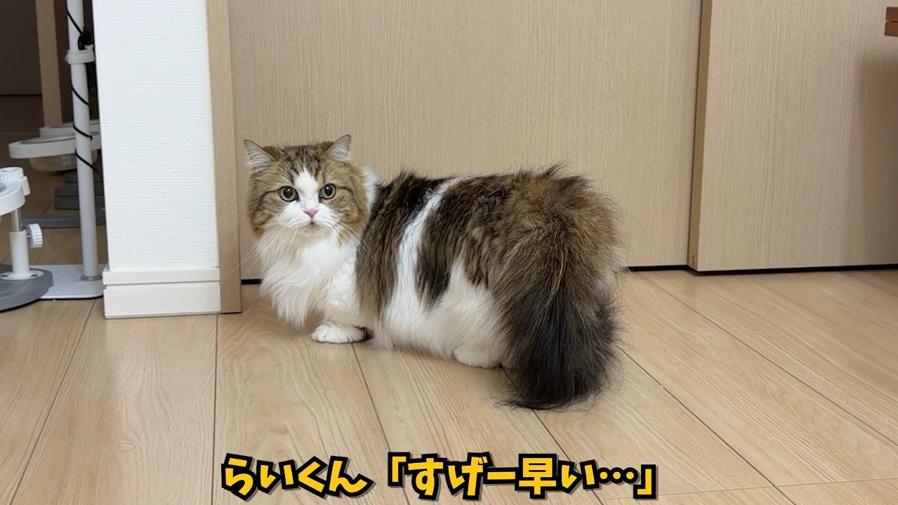 すげー早い…