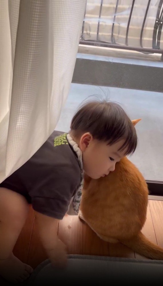 猫に頬をつける赤ちゃん