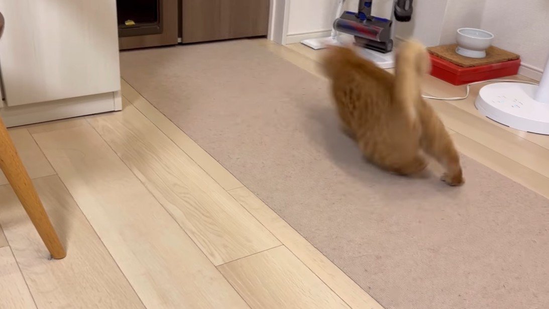 逃走する後ろ姿