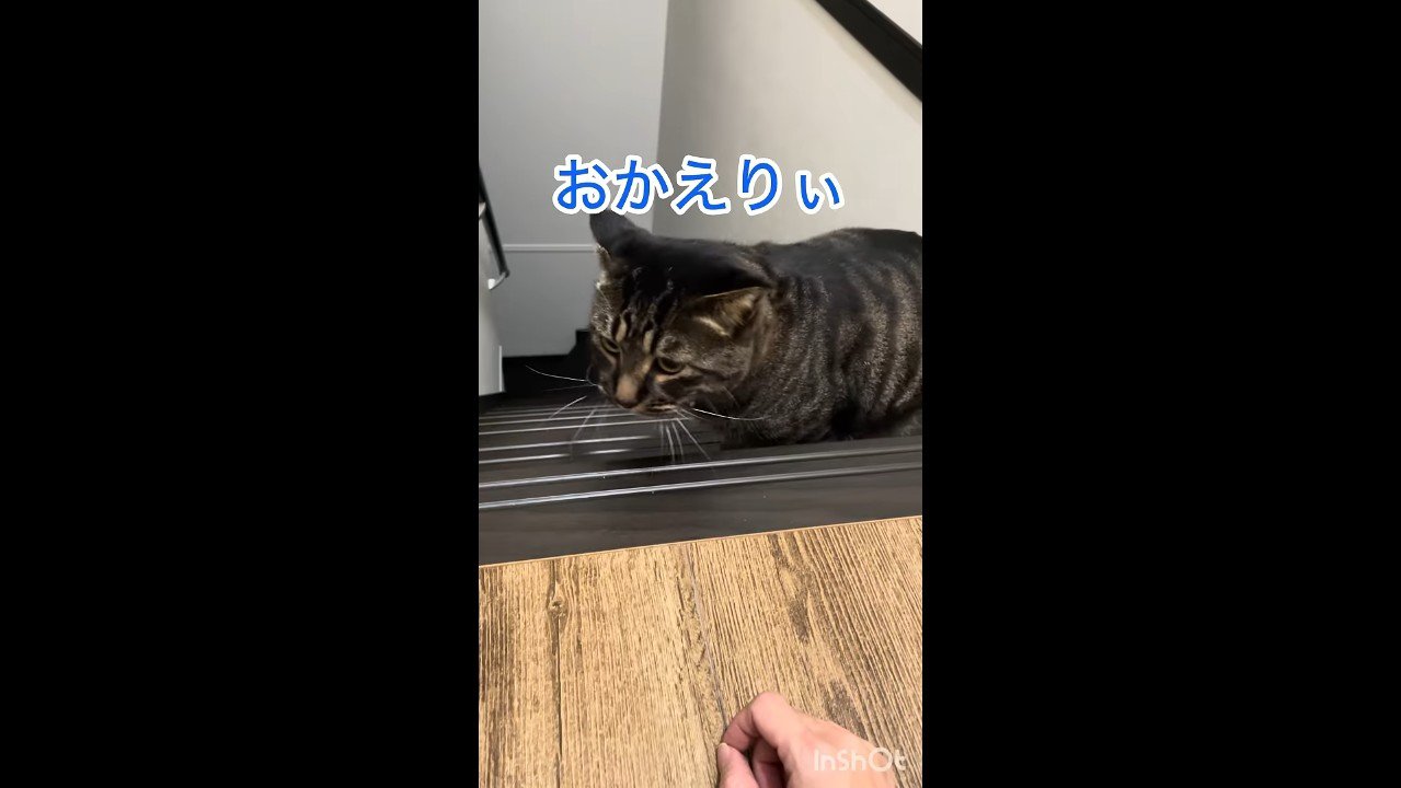 おかえりぃ