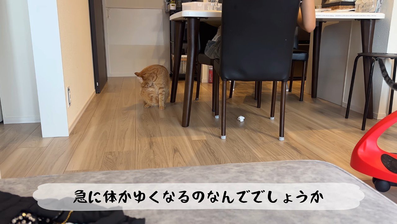 毛づくろい