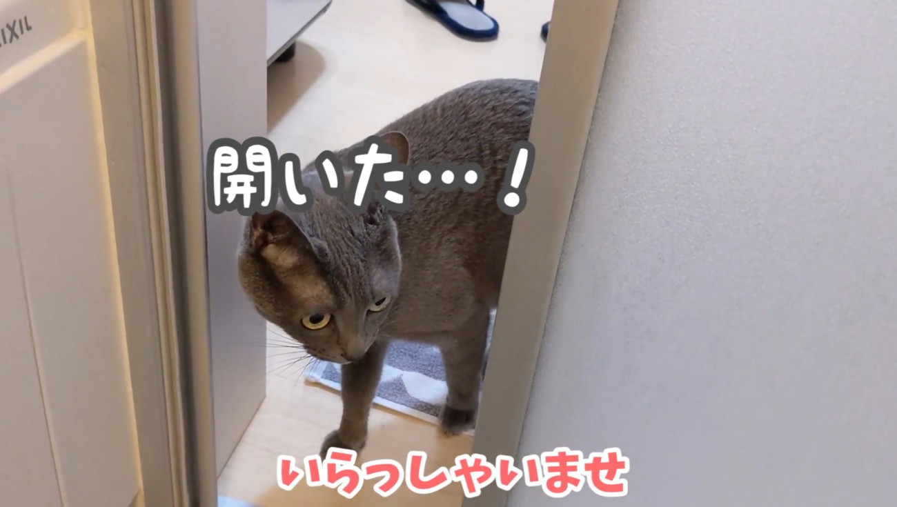 桶のそばへやってきたハムちゃん