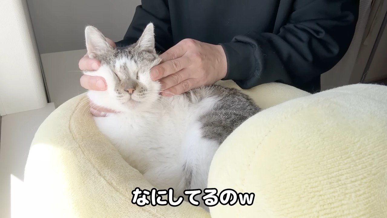 なにしてるの