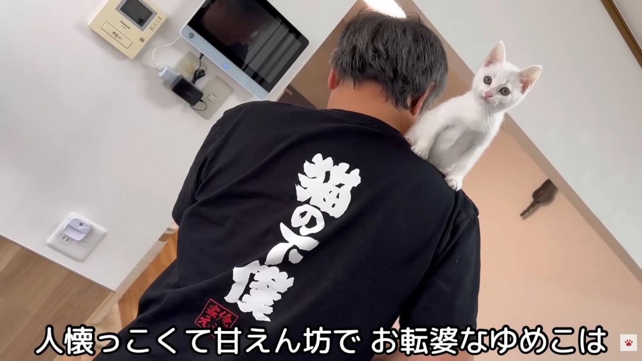 テロップ「人懐っこくて～」