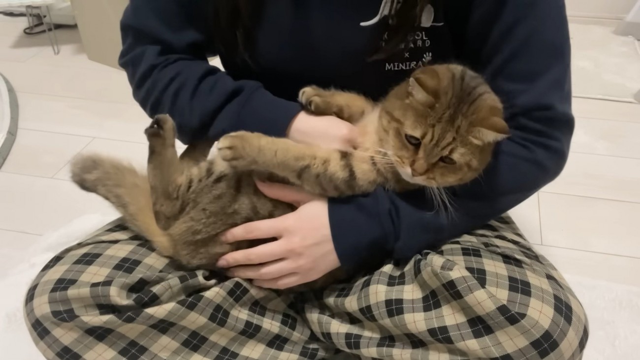 捕獲されたみにらくん