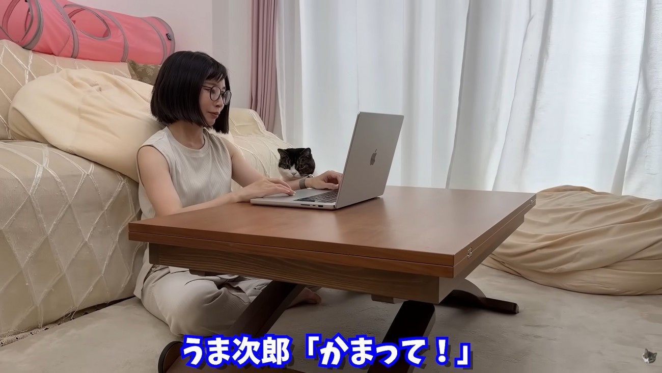 テロップ「うま次郎「かまって！」」