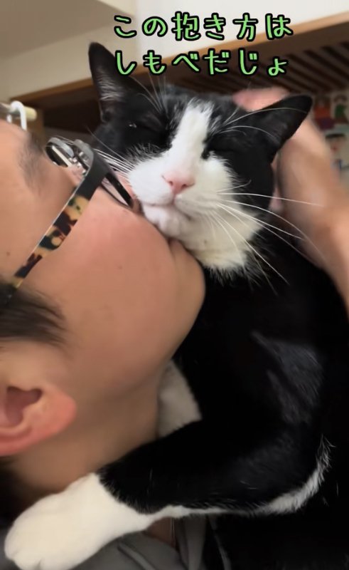 子どもの顔にアゴを乗せて目を瞑っている猫