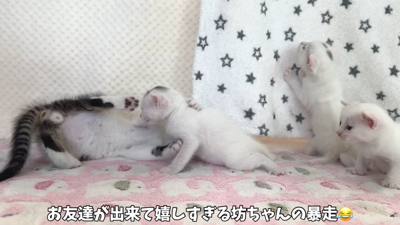 テロップ「お友達が出来て～」