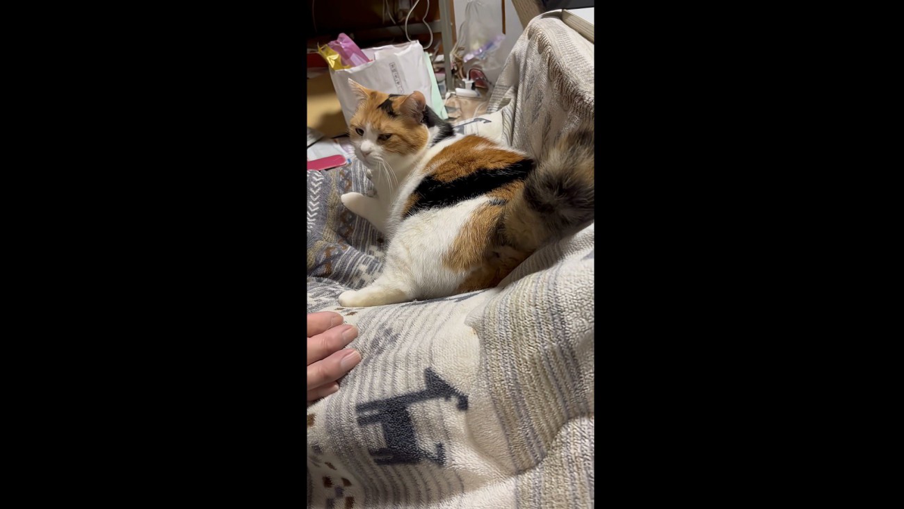 満足そうな表情のミケ