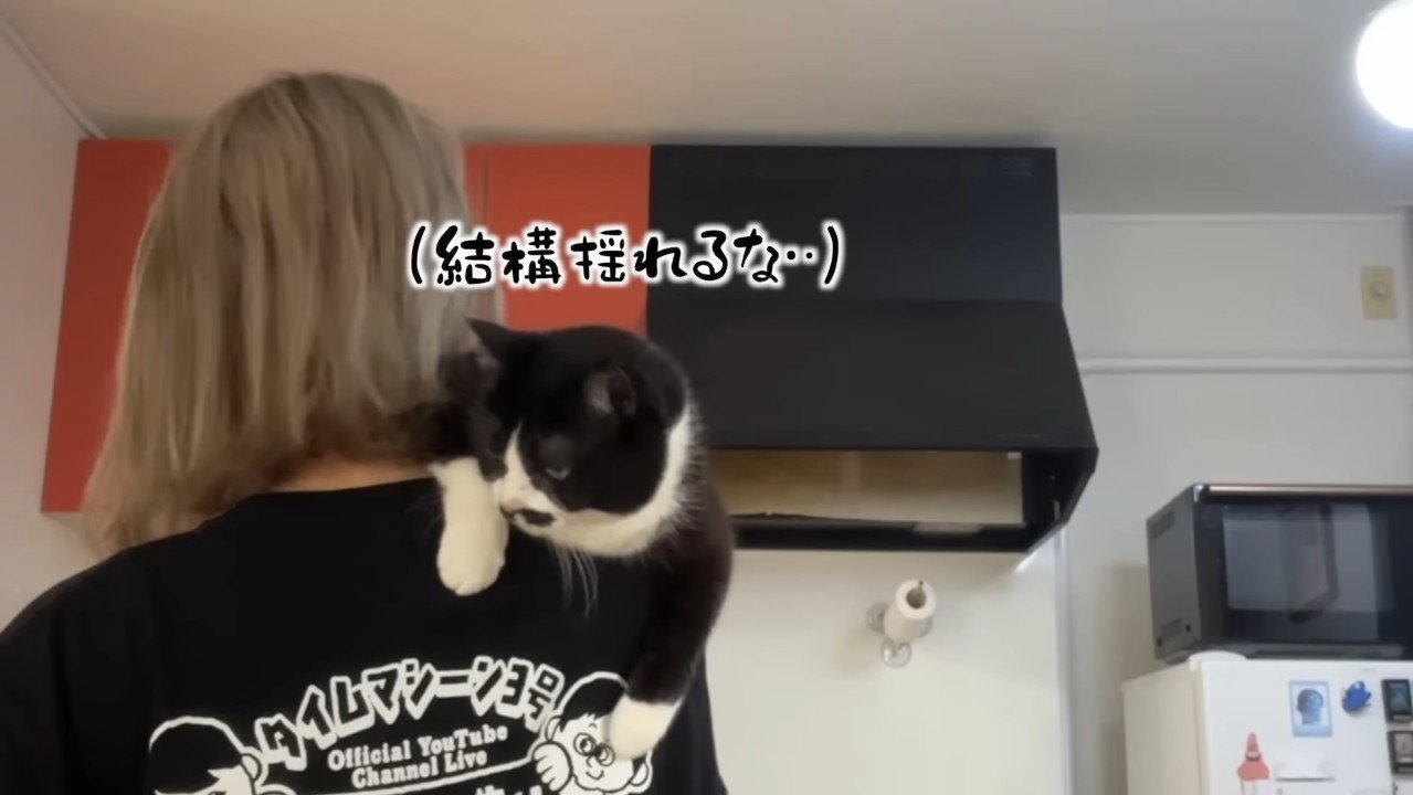 結構揺れるな…