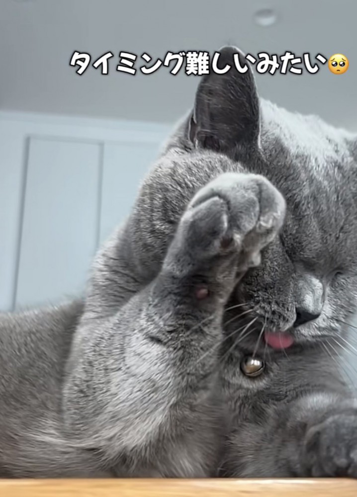 「タイミング難しいみたい」のテロップ写真1