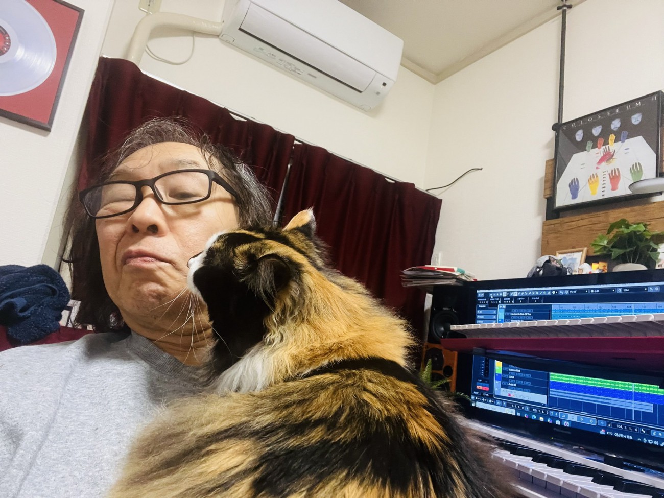 人の顔にスリスリする猫