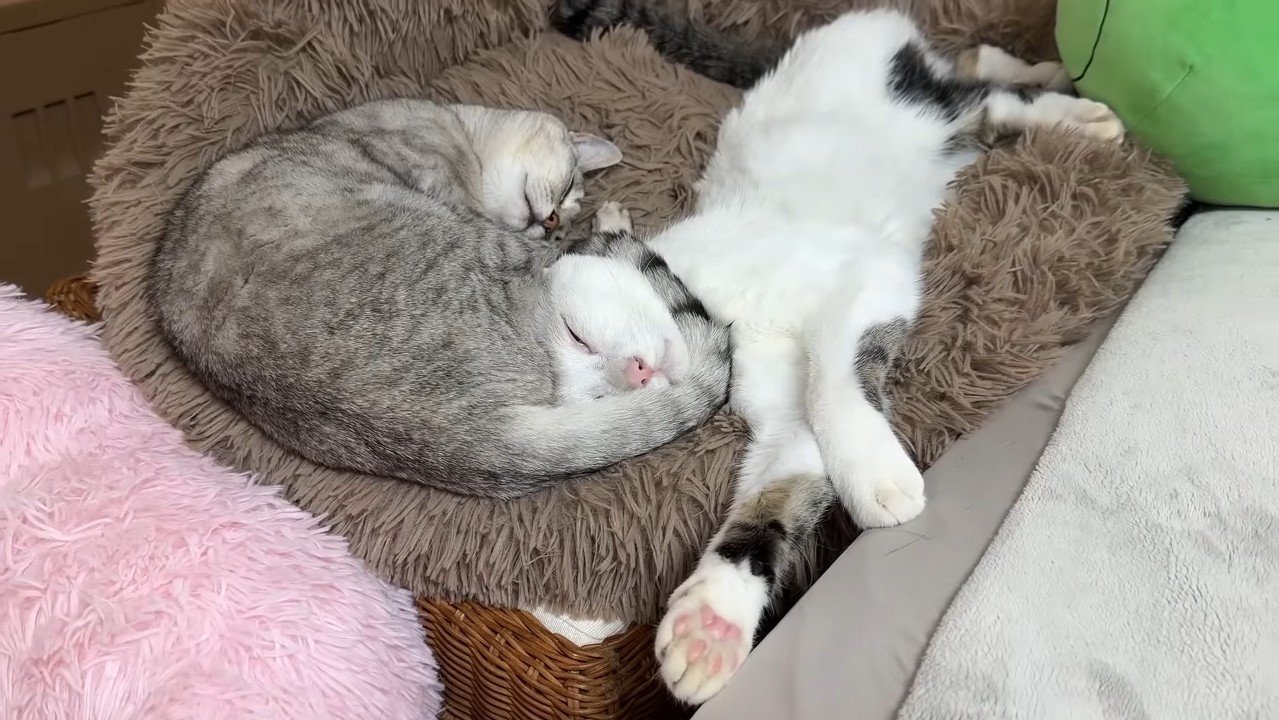 一緒に眠るふたり