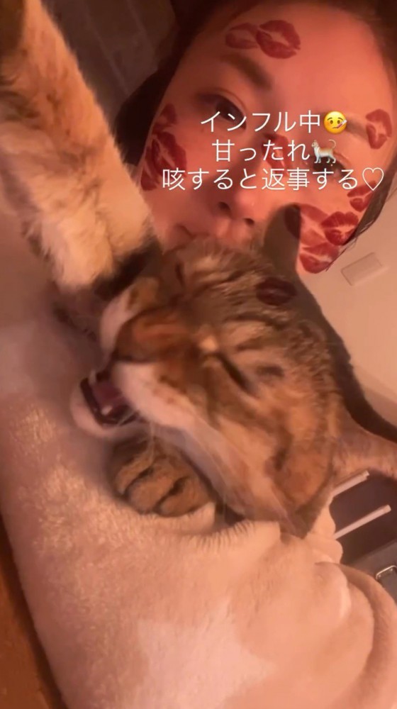飼い主の腕の中で鳴き声をあげる猫