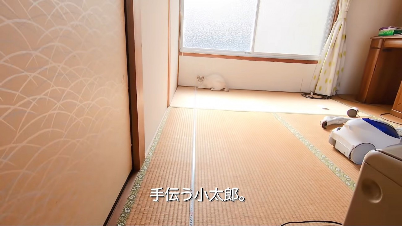 テロップ「手伝う小太郎」