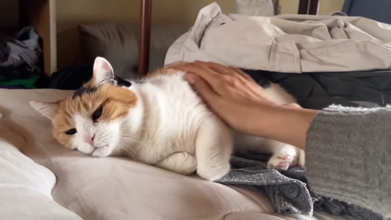 お腹をなでなで