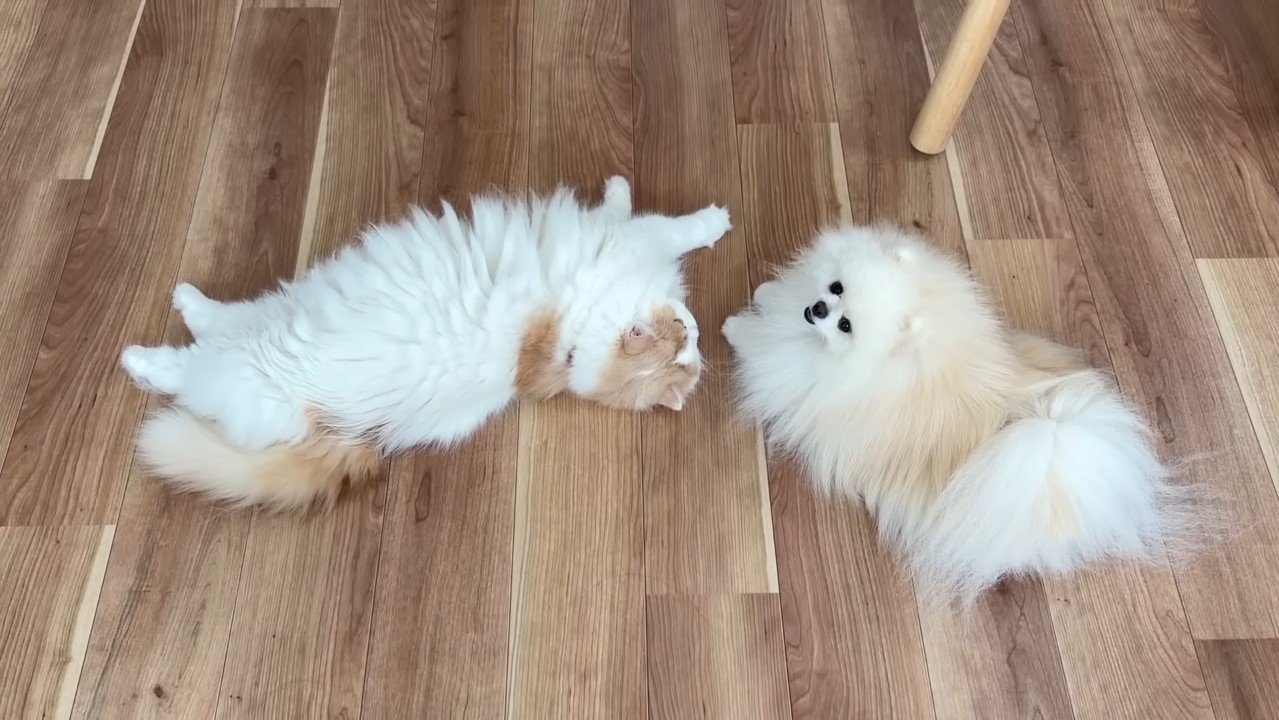 寝転がるふたり