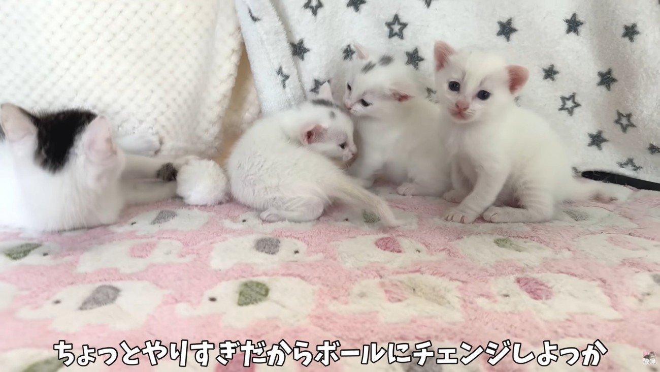 テロップ「ちょっとやりすぎだから～」