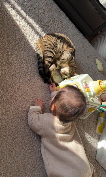 床に寝ている猫と赤ちゃん
