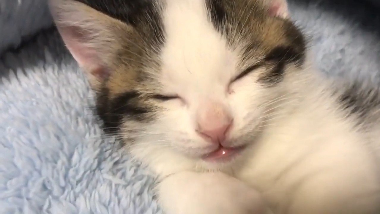 目を閉じた顔のアップ