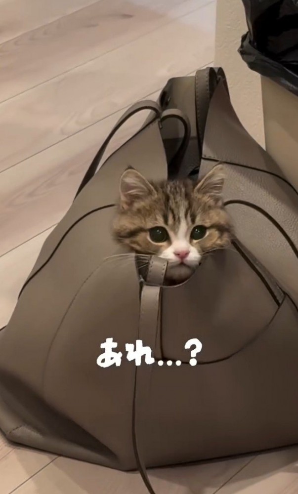 「あれ？」と書かれた写真