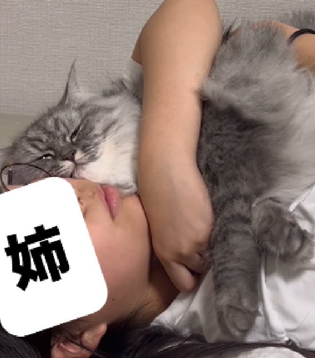 幸せそうな猫