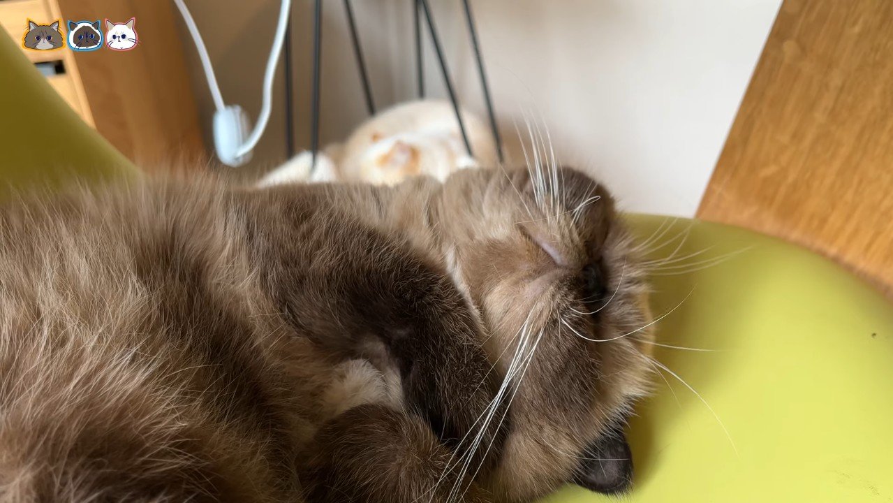 顔の少しアップ2
