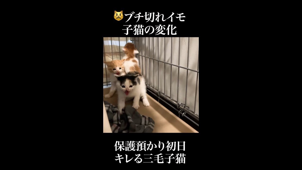 奥に集合