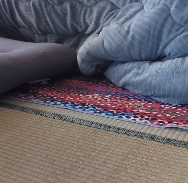 子猫が留守番している部屋