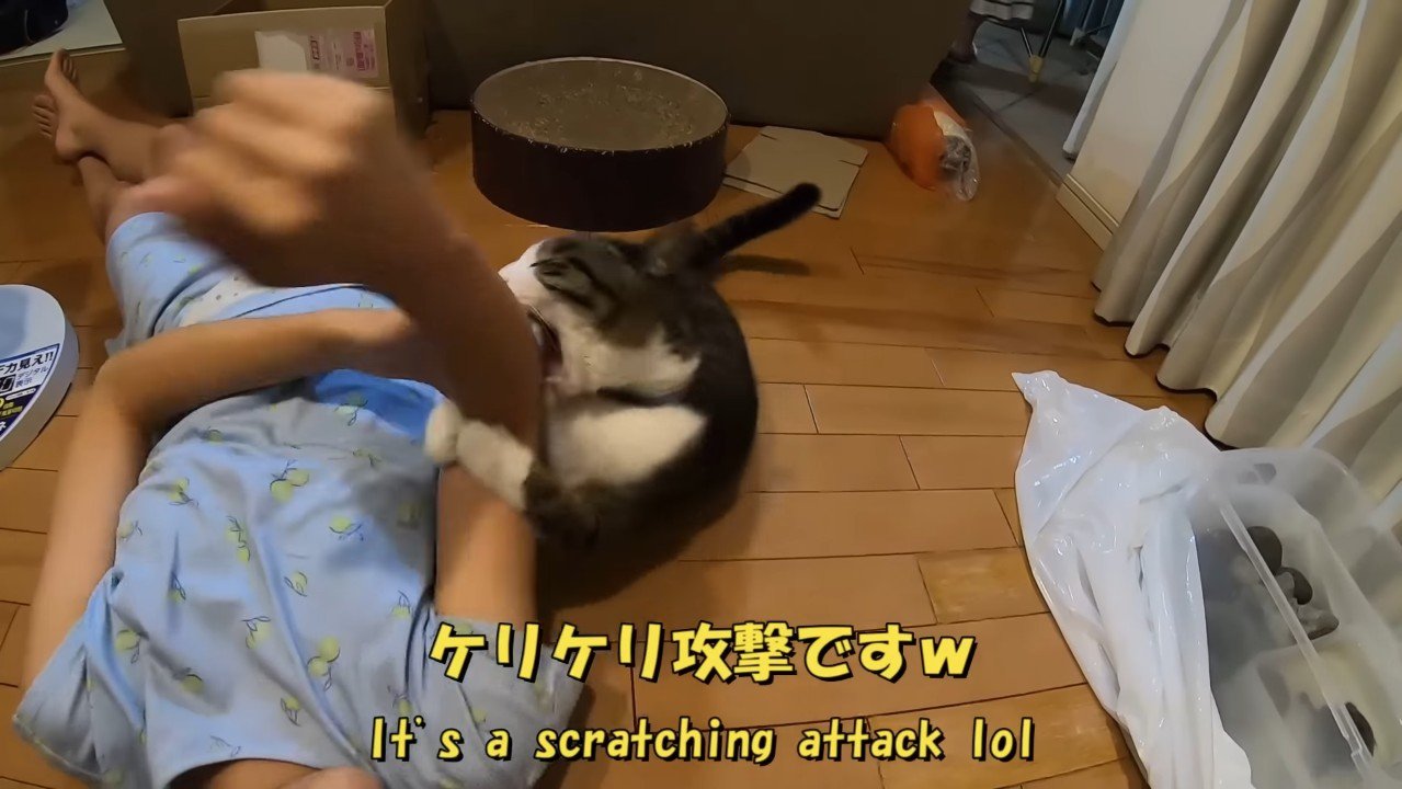 ケリケリ攻撃です