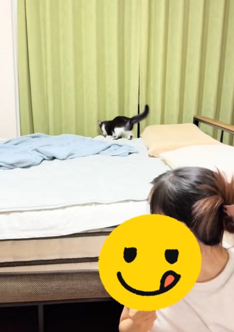 ベッドの上の子猫と振り返る飼い主