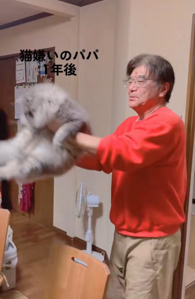 猫を抱っこして回る