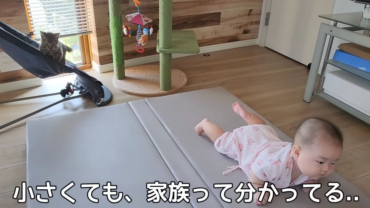 テロップ「小さくても、～」