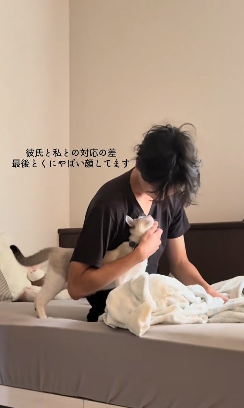 飼い主の腕の隙間に入って飼い主を見上げる猫