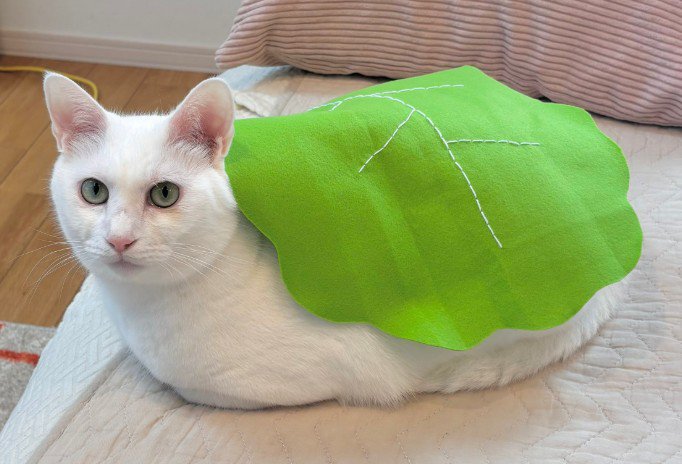 緑の布をまとった猫（アップ）