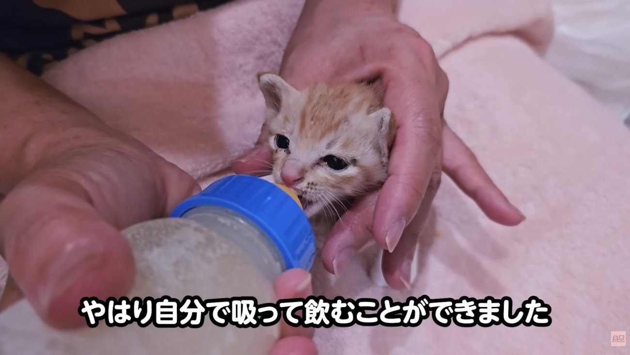 テロップ「やはり自分で～」