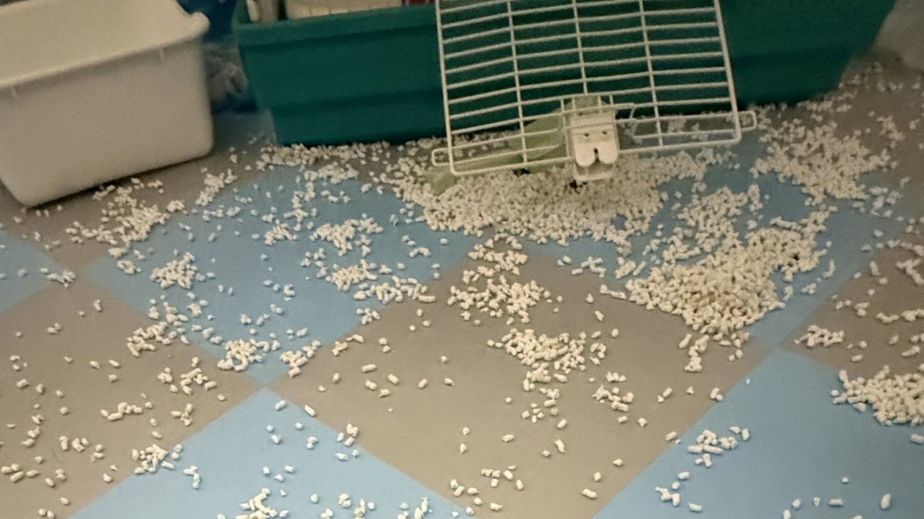 床中に猫砂が散乱している様子