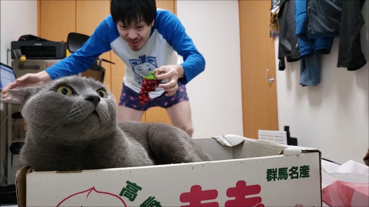 目を見開いた顔