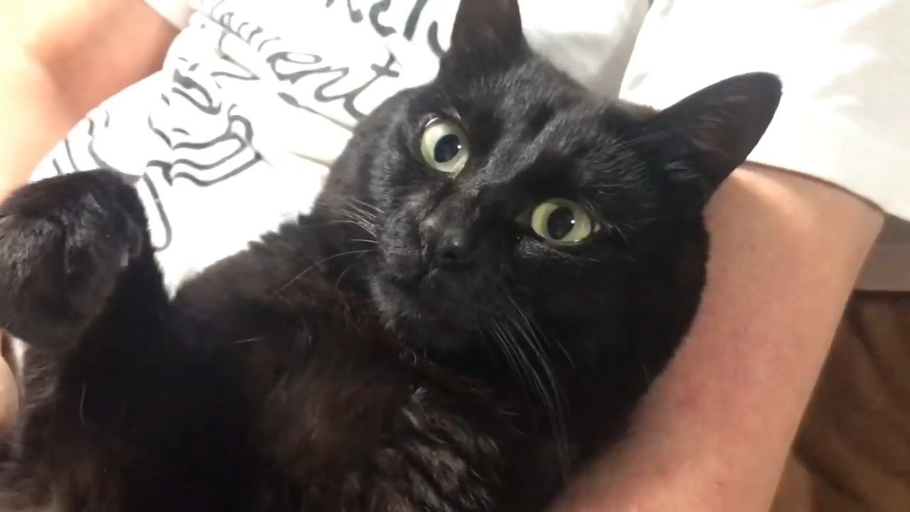 天くんのアップ
