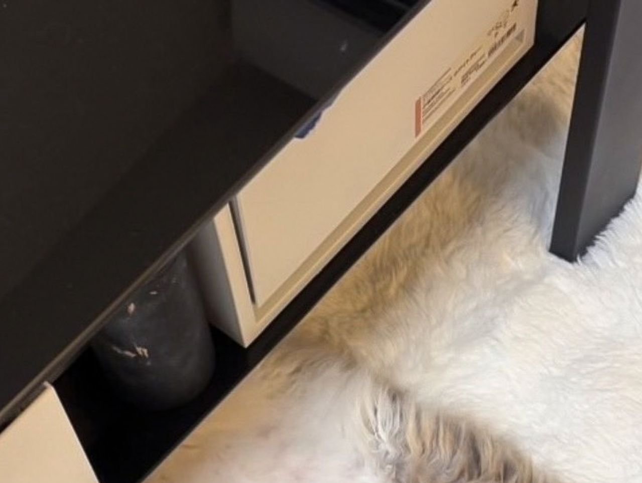 家具の下から見える猫