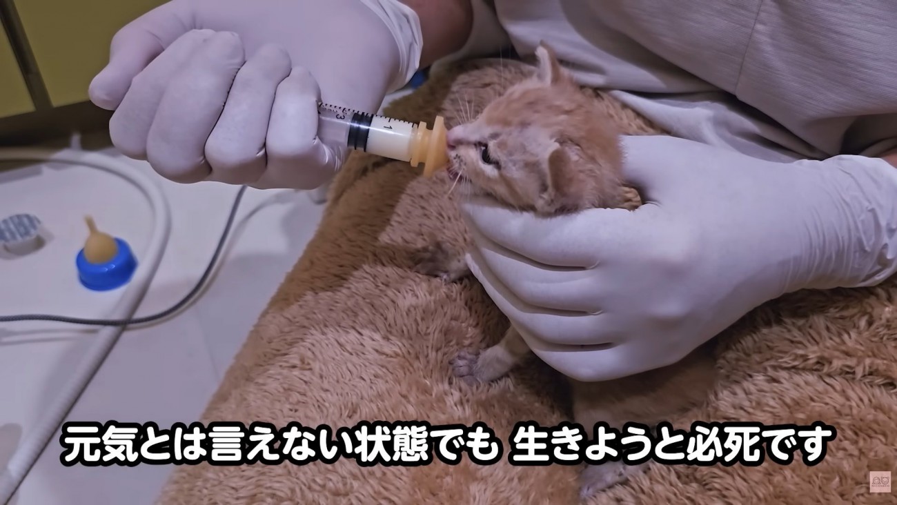 テロップ「元気とは言えない状態でも～」