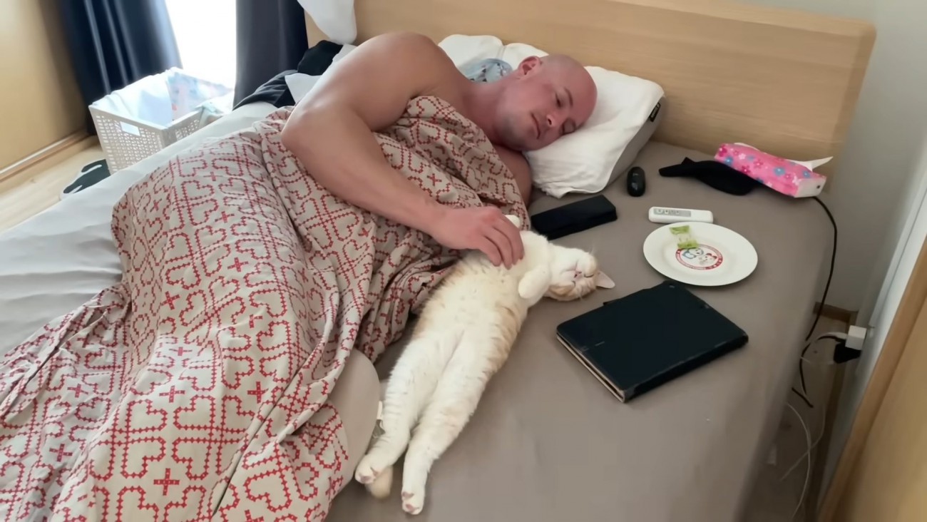 仰向けで寝る猫