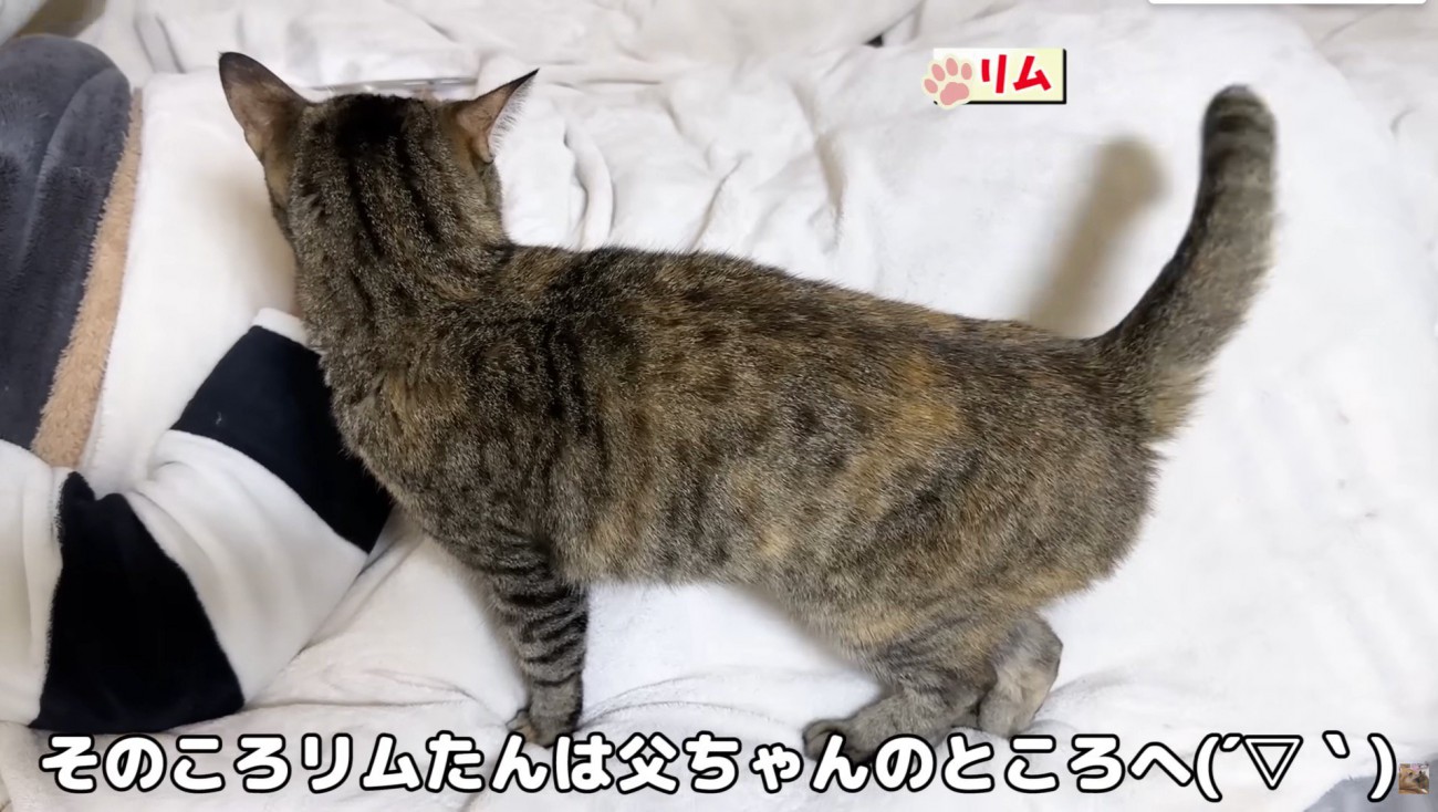 お父さんのもとでおしゃべり