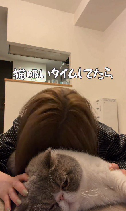 猫吸いをしている飼い主
