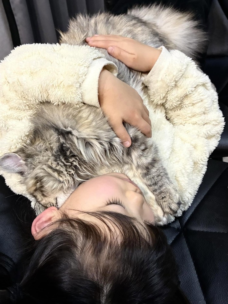 女の子に抱っこされている猫