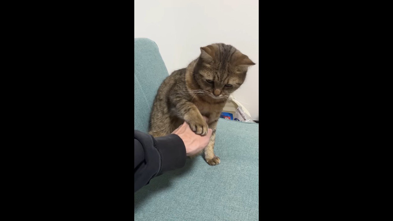 俯きながらタッチ