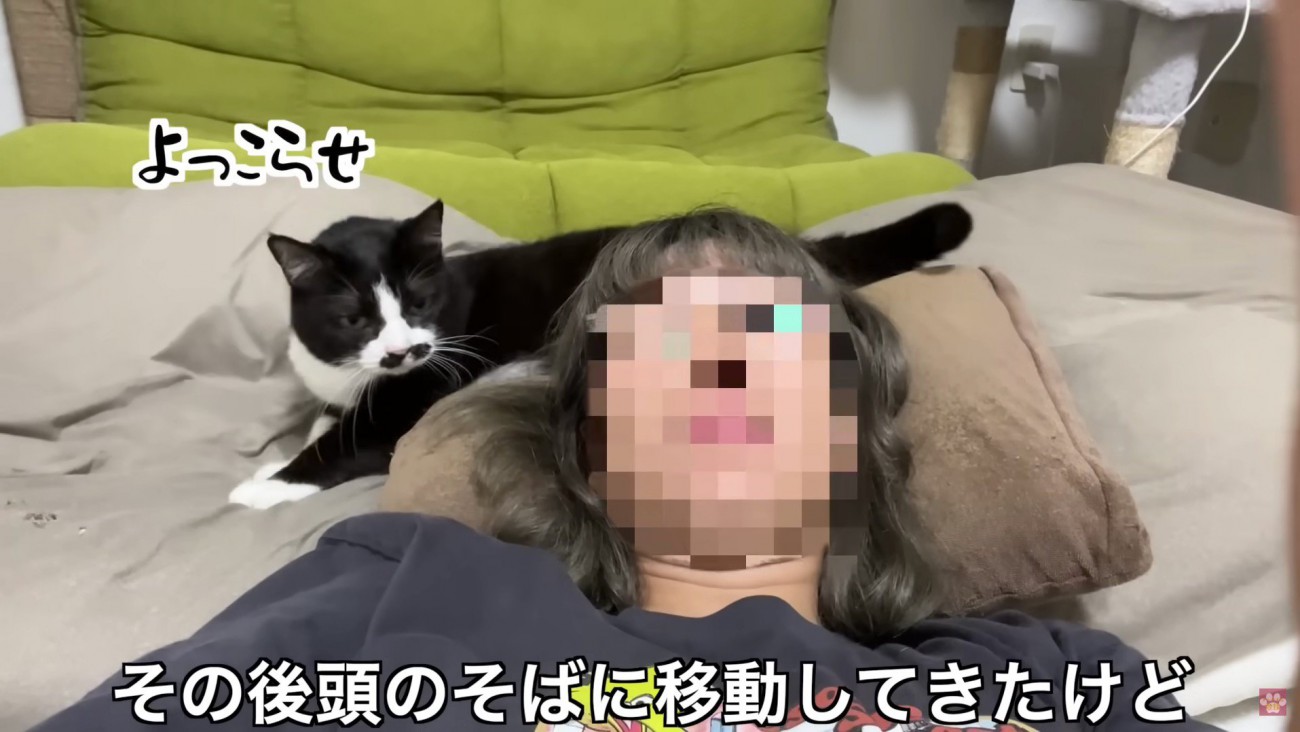 頭の方へ移動する