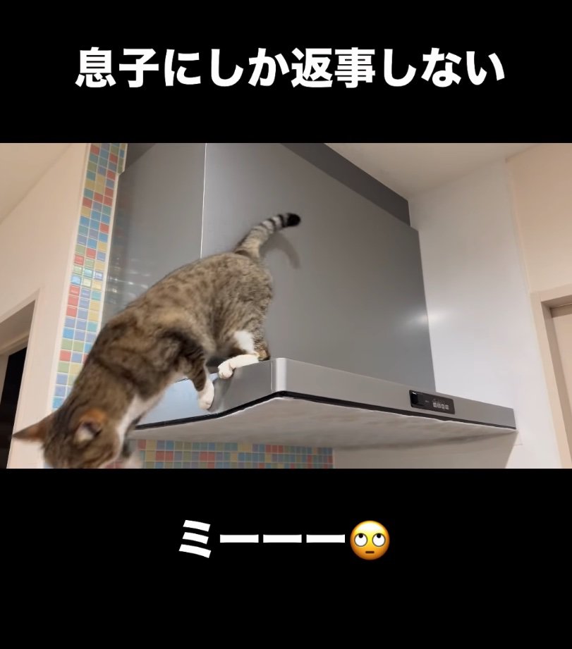 飛び降りる