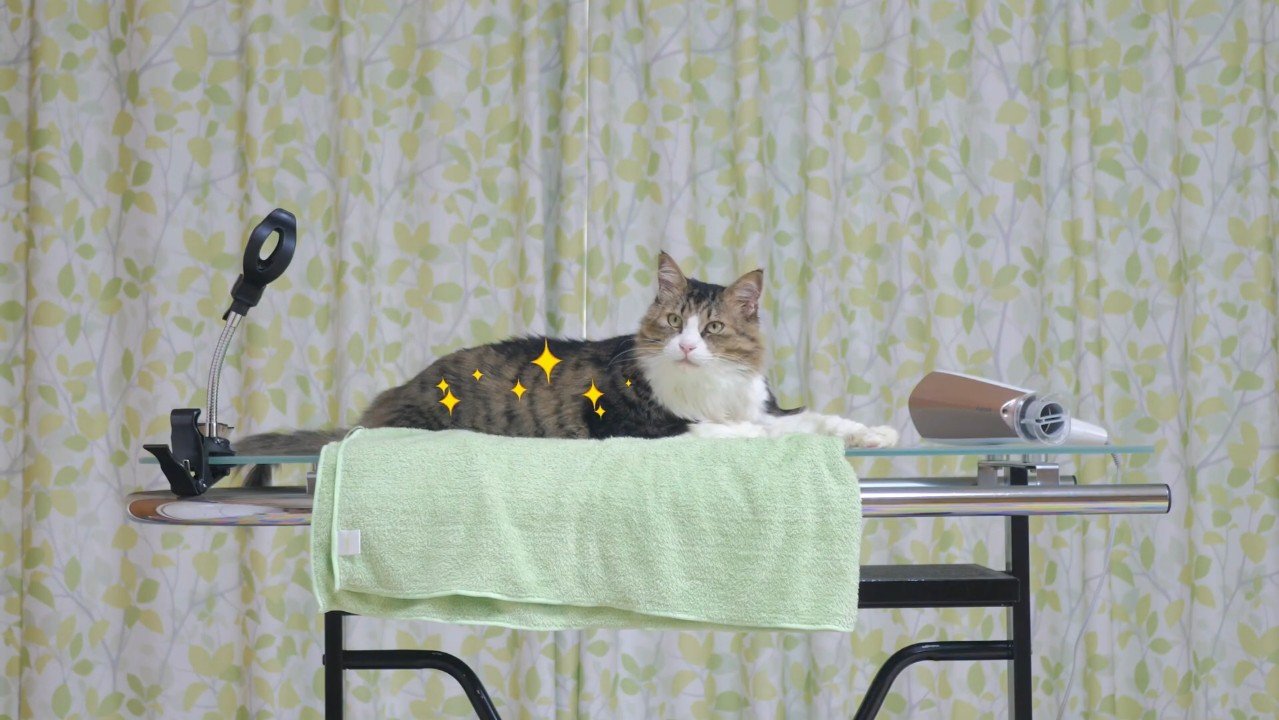 キラキラ