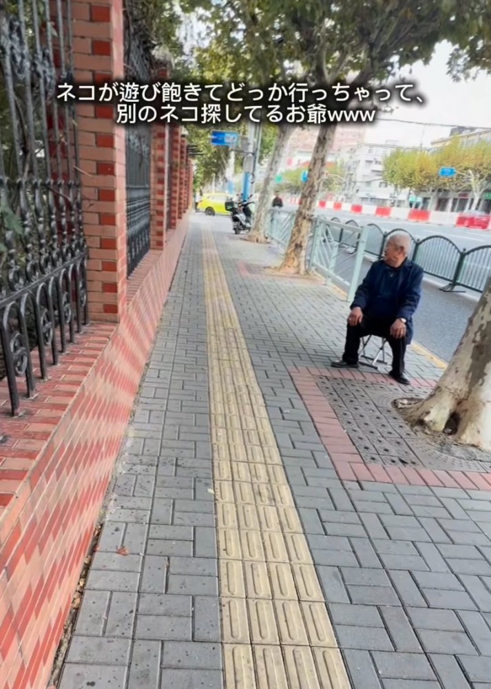 違う猫を探すお爺さん